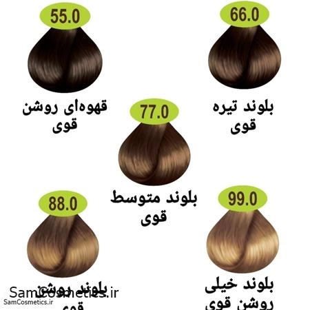 2cc2e0b8-a2f2-41b5-8f33-f4b2d1bdc143.jpg