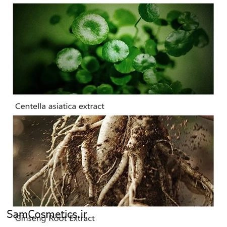 43cfa7a7-c0e4-47ab-9c31-dbdbfb841bf0.jpg