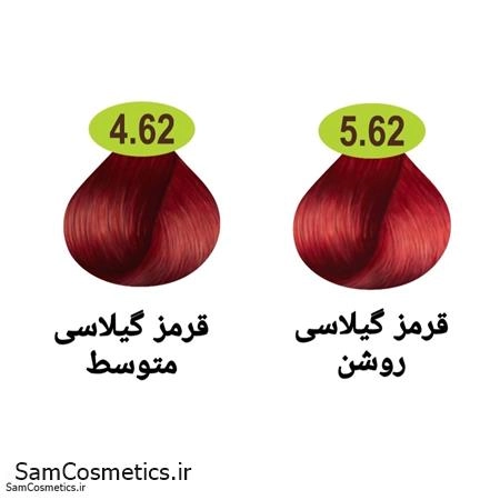 5bea10bc-3e31-4f06-89f4-8af1e020c7f3.jpg