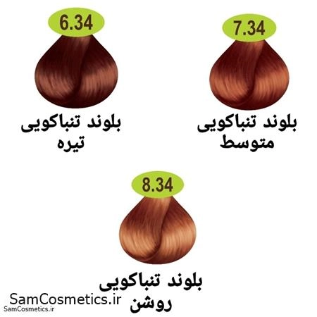 6e0651a7-b19a-491a-887b-497bcf41e451.jpg