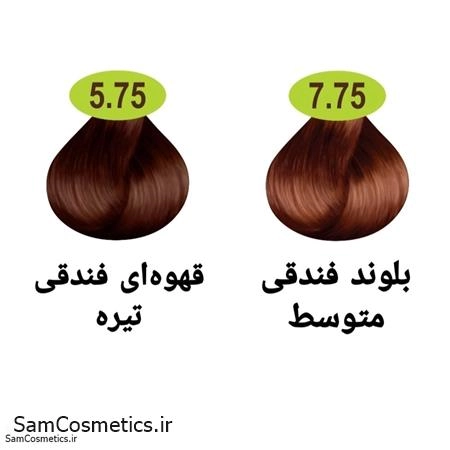 a289ab66-7128-43d4-b6df-cfc9c7cfc9ec.jpg