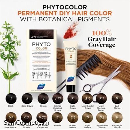 a53e0de4-f833-438a-b53d-c6c1188a474f.jpg