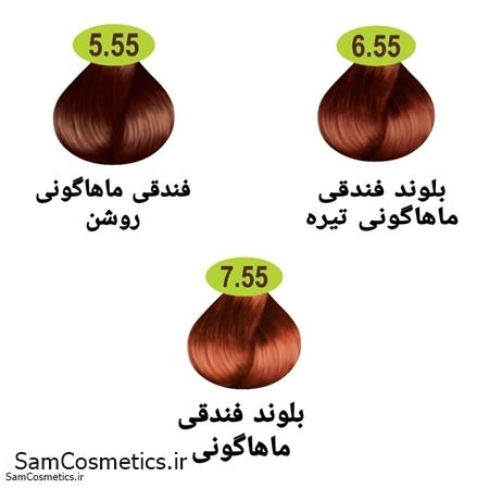 efa01de7-1a7b-4d08-bf79-2fa054db5824.jpg