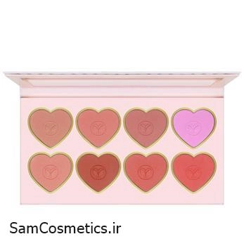 پالت رژگونه فیوچر میکاپ مدل GPS SAYS کد (FU7301) | FUTURE MAKEUP GPS SAYS 8 Color Blush palette