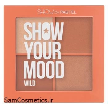 پالت برانزر و هایلایتر پاستل 4 رنگ مدل WILD