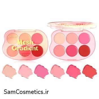 پالت رژگونه و رژلب 6 رنگ فبل | Febble مدل Mesh Gradient
