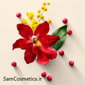 بادی اسپلش ویکتوریا سکرت Very Sexy حجم 250 میل | Victoria’s Secret