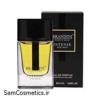 ادکلن مردانه برندینی رایحه اینتنس من 33 میل | BRANDINI Intense Men Edp