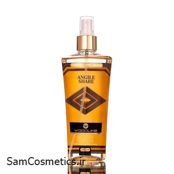 بادی اسپلش مردانه وودلایک | WOODLIKE رایحه ANGLE SHARE حجم 250 میل