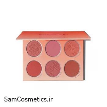 پالت رژگونه 6 رنگ شیگلم | SHEGLAM مدل Floral Flush