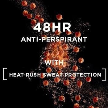 اسپری ضد تعریق مردانه لورآل مدل Thermic Resist حجم 300 میل | L'Oréal Men Anti-Perspirant Spray